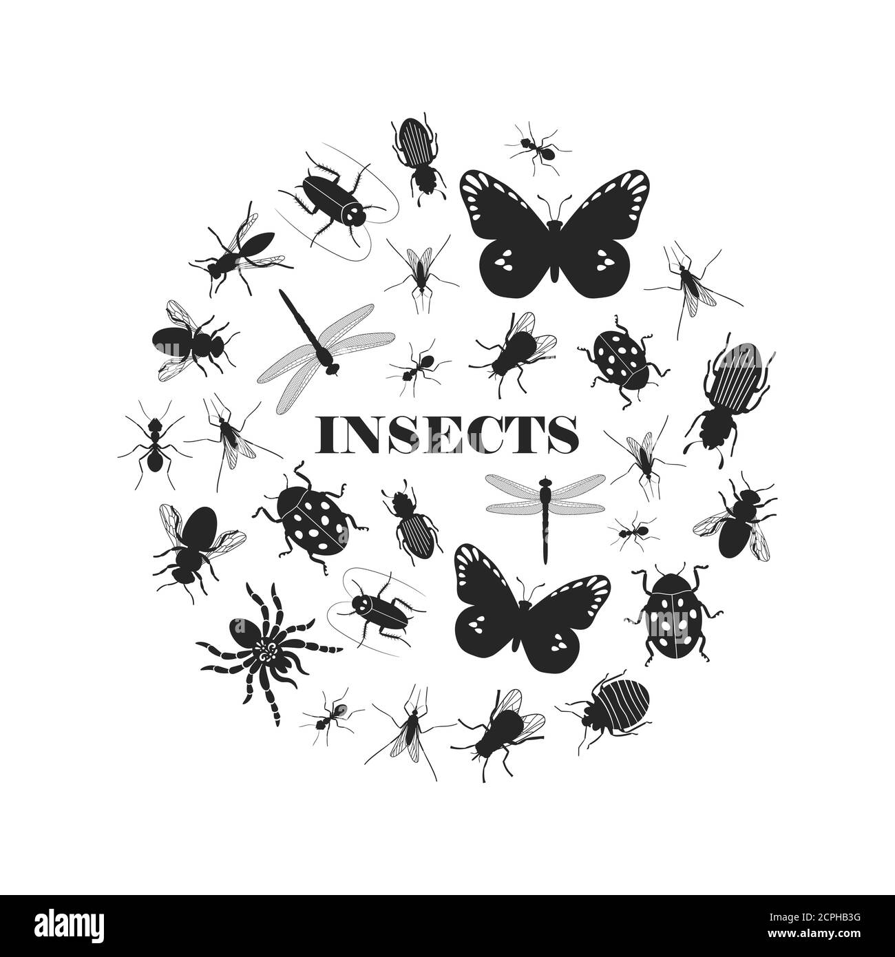 Black insect silhouettes in round shape vector illustration Stock ...