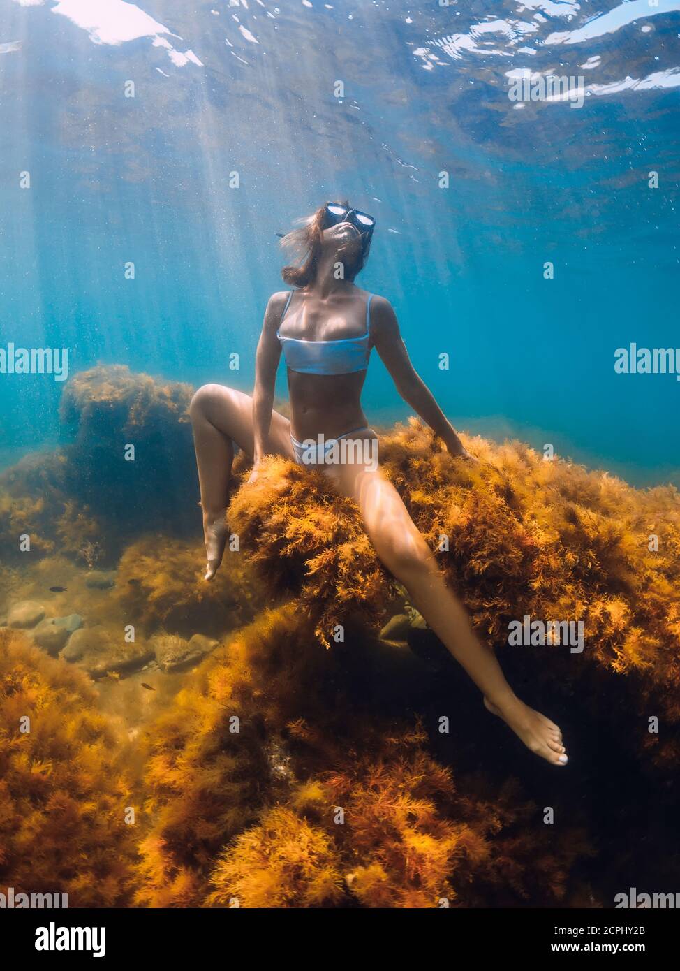 Free diver bikini hires stock photography and images Alamy