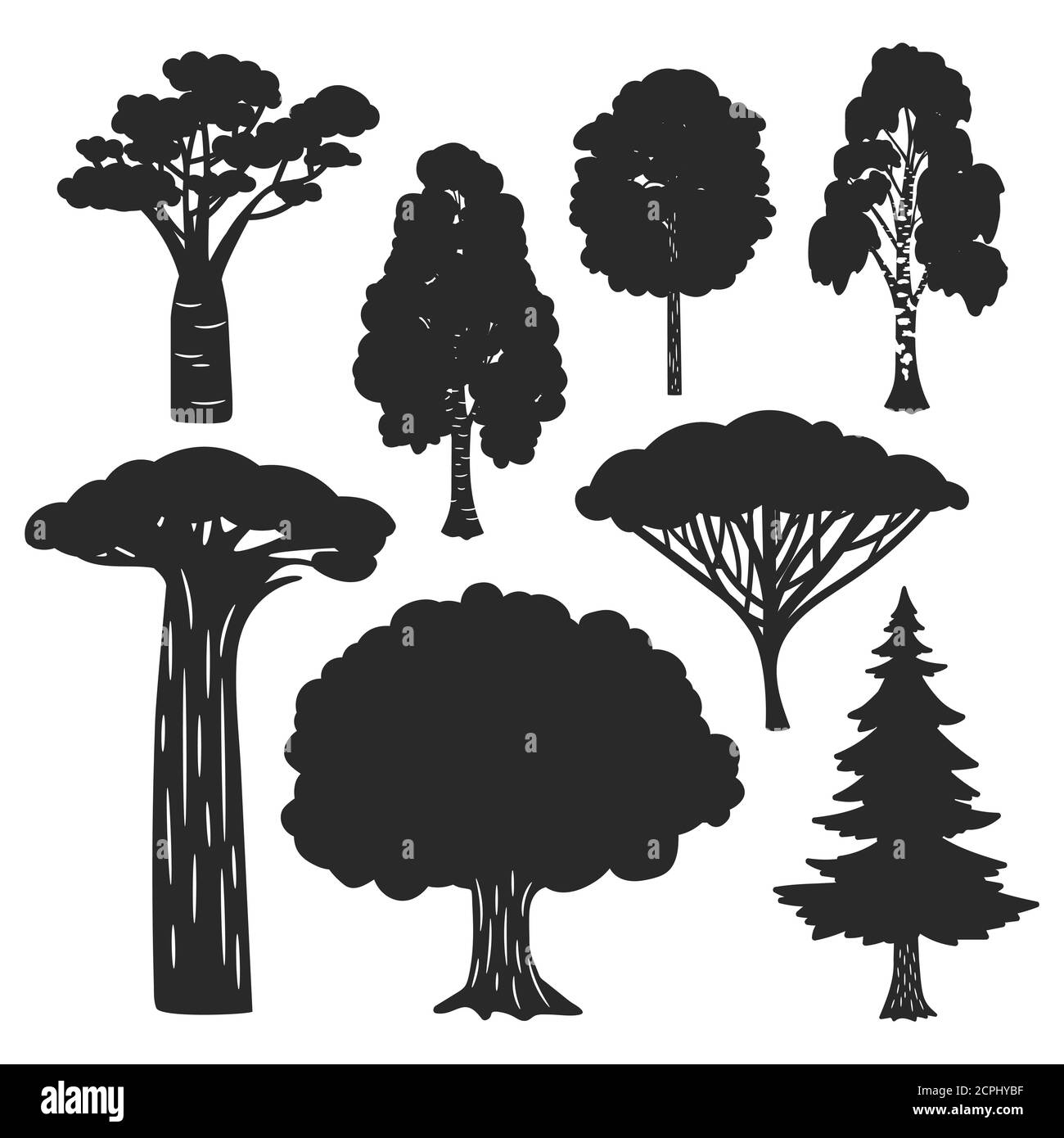 Vector trees forest black silhouettes isolated on white background. Birch and oak, evergreen pine silhouette illustration Stock Vector