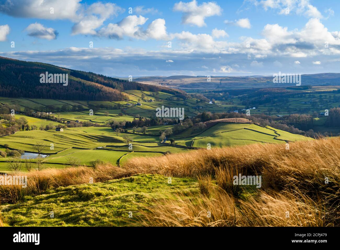 Long-distance picturesque view to Wharfedale (isolated barns, rolling green pasture, sunlit valley, walls, blue sky) - Yorkshire Dales, England, UK. Stock Photo