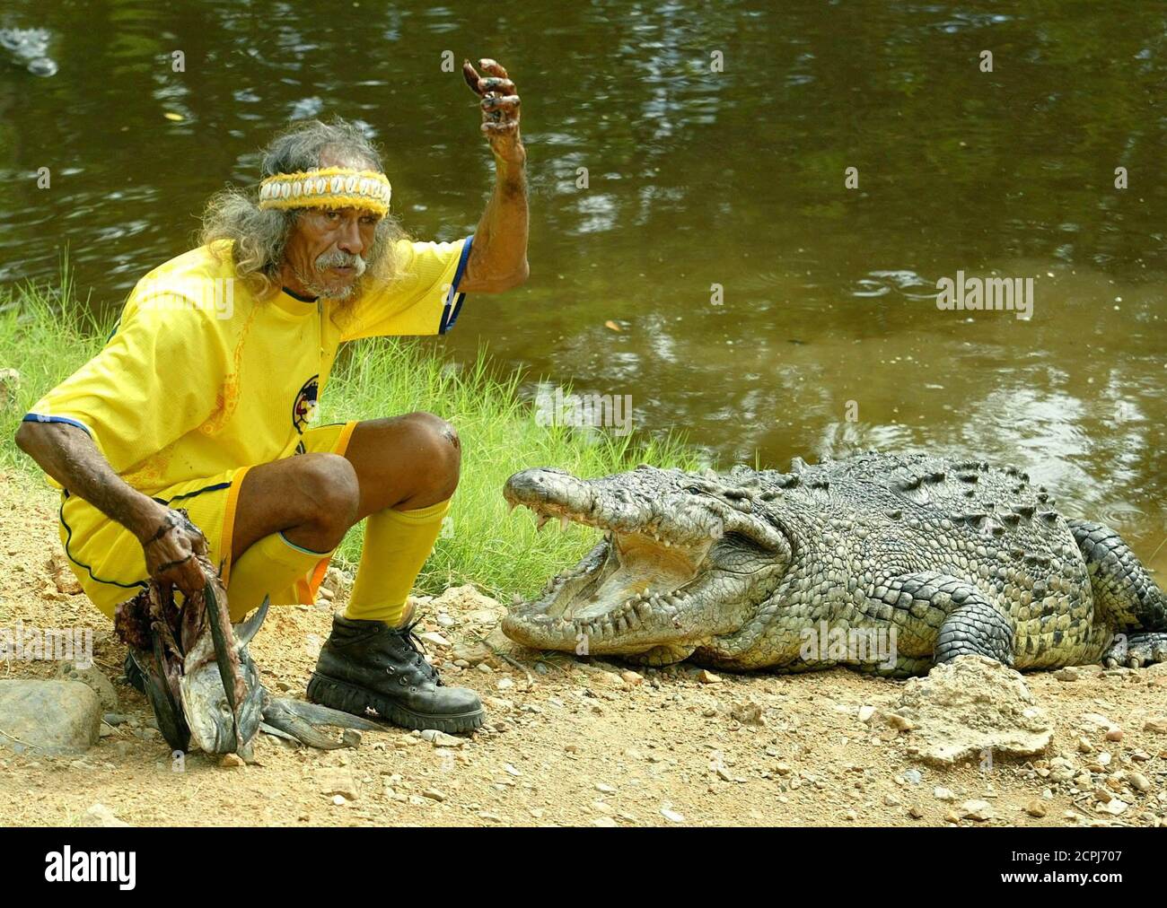 66 yr-old Mexican Eroberto Piza Rios, better known as 'Tamacun,' feeds a crocodile during a show in Playa Linda Ixtapa in the Mexican State of Guerrero in this photo taken August 1, 2003. Tamacun has rised and trained at least 47 crocodiles which grow up to five meters in length. Tamacun wears the yellow jersey of his favorite mexican soccer team 'America' and also names his crocodiles after former players. REUTERS/Daniel Aguilar TO MATCH FEATURE STORY MEXICO-CROCODILES  DA Stock Photo