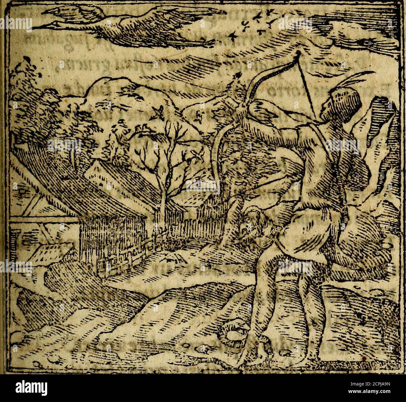 Idi hi-res stock photography and images - Page 14 - Alamy