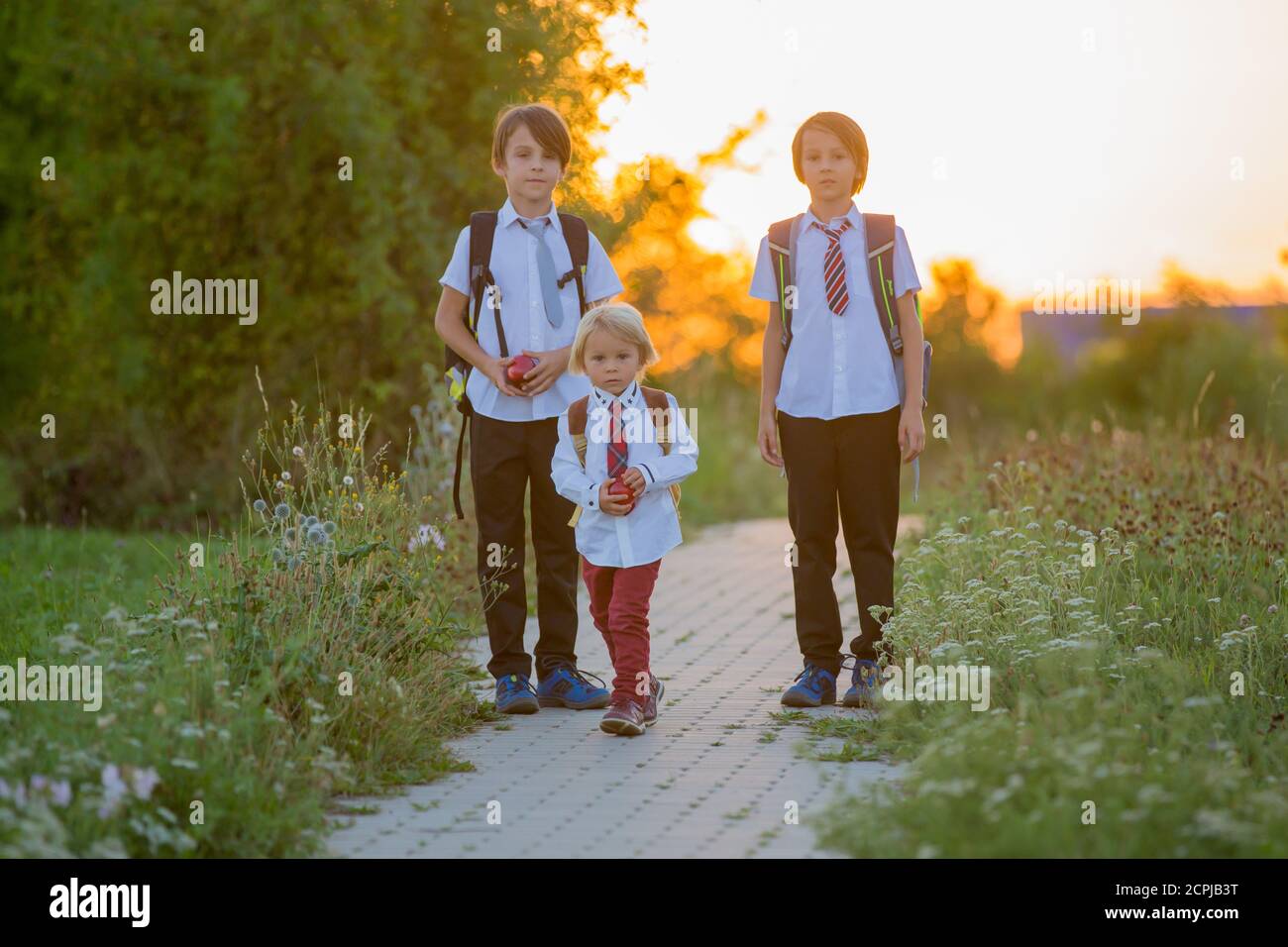 School children, boys, going back to school after the summer vacation ...