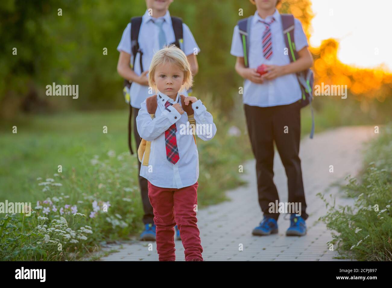 School children, boys, going back to school after the summer vacation ...