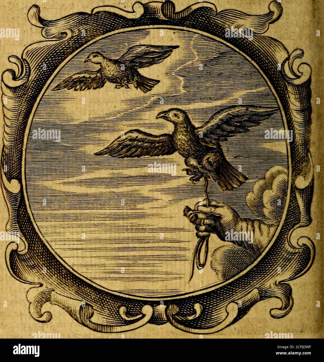 Lux evangelica sub velum sacrorum emblematum recondita in anni dominicas,  selecta historia & morali doctrina varie adumbrata . af-rgens: Aut ifte  prafcinden-is eft ferroo , aut veftra cum:nia , hinc ego