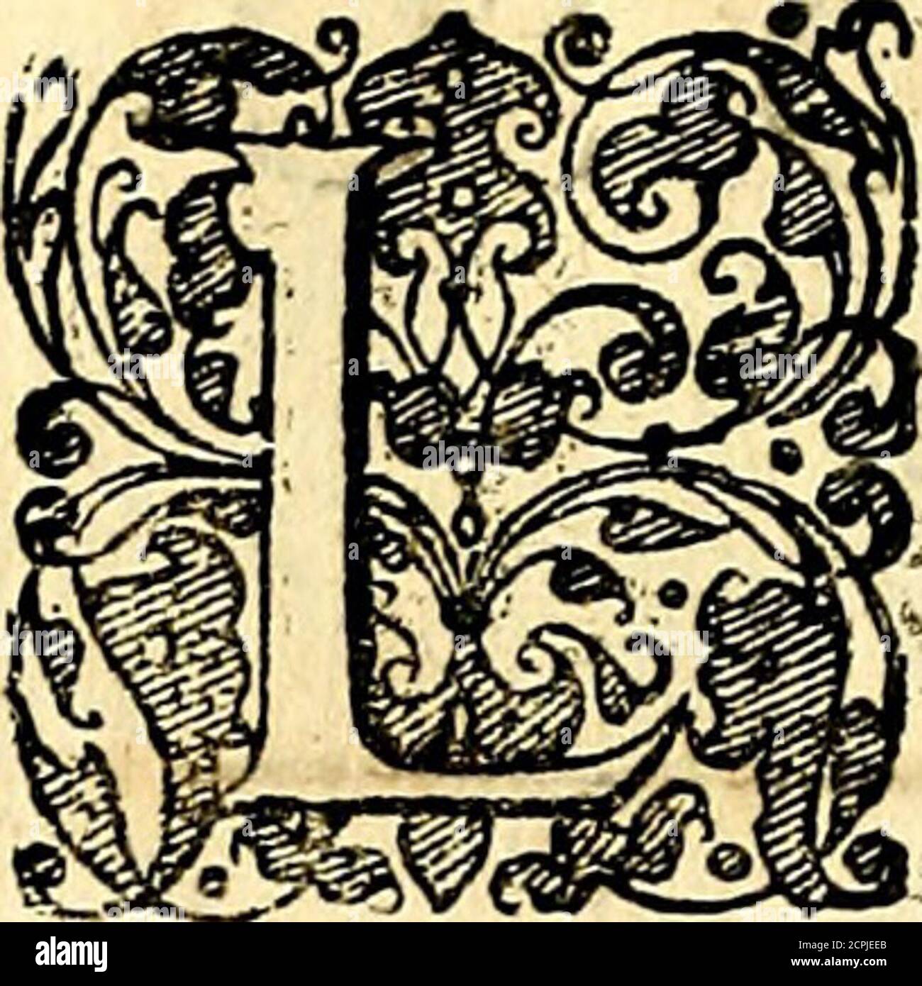 L Is Fo High Resolution Stock Photography And Images Page 10 Alamy