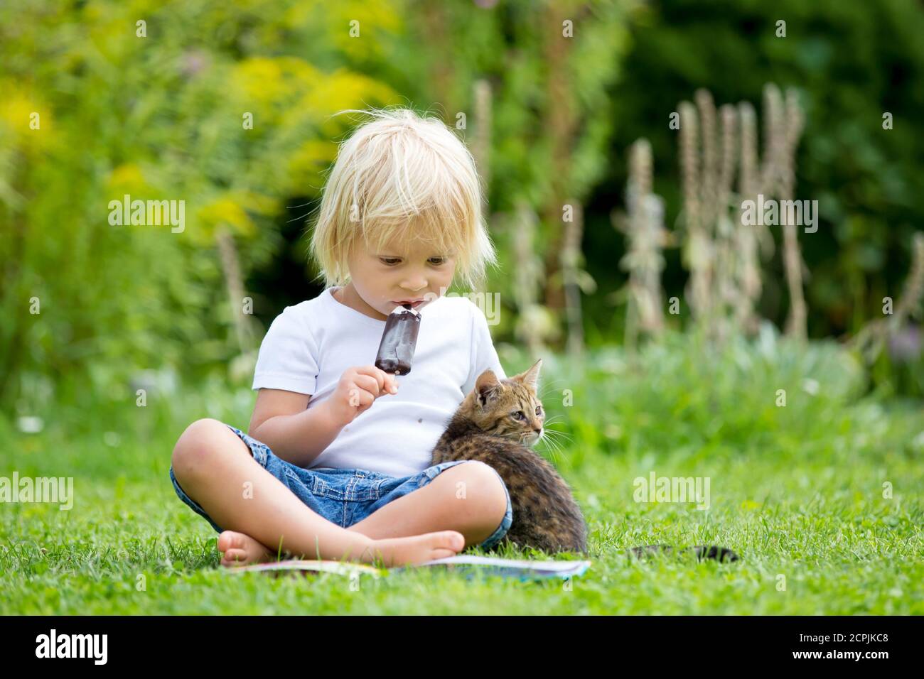 Cute blond toddler child, sweet boy, playing in garden with little kitten, reading book Stock Photo