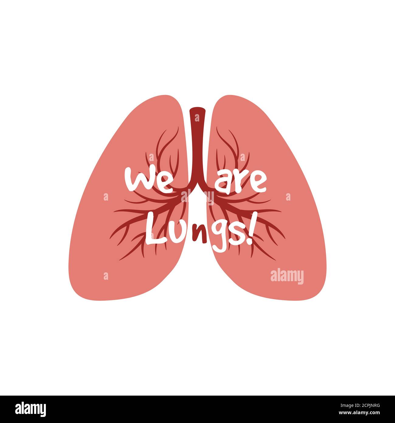 Human internal organs - lungs vector isolated on white background ...