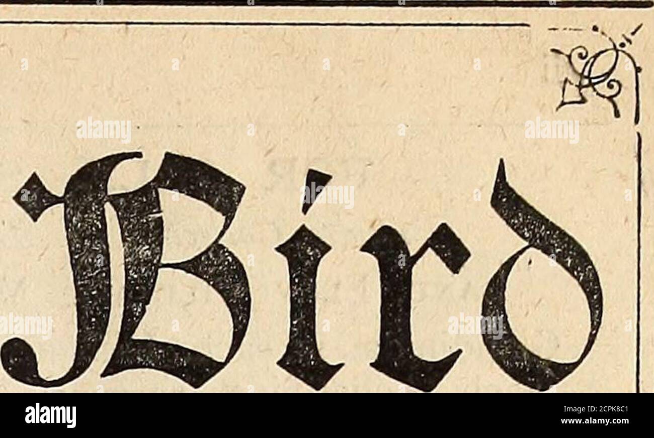 . The Humming bird . A MONTHLY SCIENTIFIC, ARTISTIC, AND INDUSTRIAL REVIEW. GUARANTEED CIRCULATION, 5000. VOL L NO. 11. November 1, 1891. PRICE SIXPENCE. Annual Subscription: United Kingdom, Post free, 4 shillings ; all countries included in the Postal Union, 5 shillings. All other countries, 6 shillings. Stock Photo