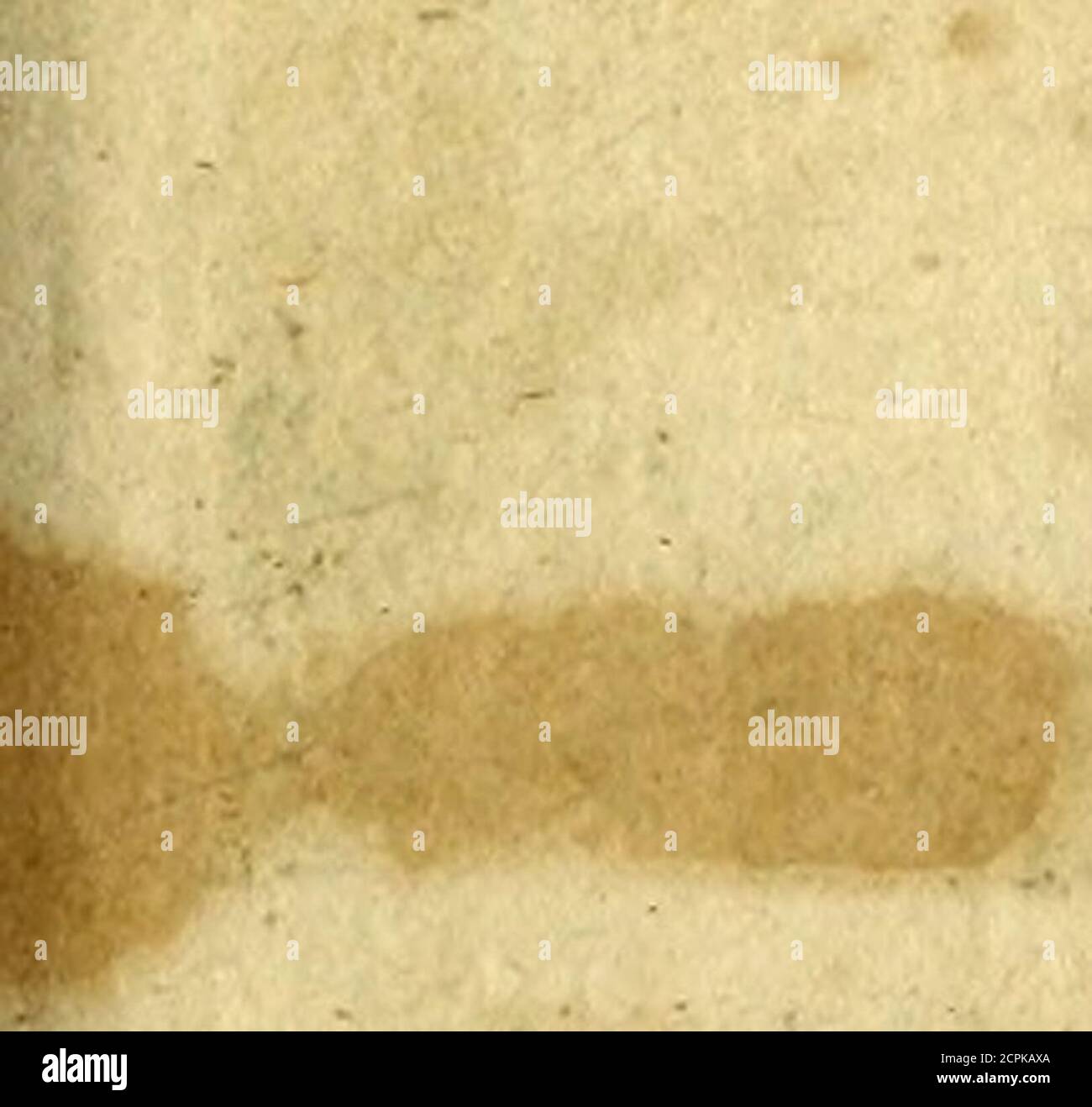 fle la rencontre amoureuse