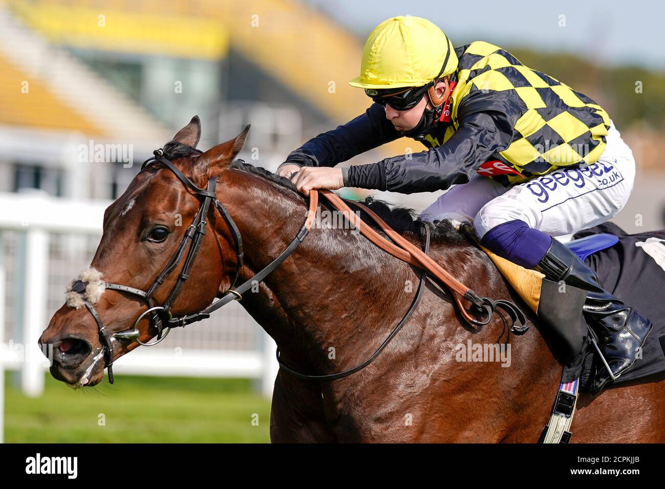 David Probert riding Oo de Lally wins The Heatherwold Stud EBF Novice ...