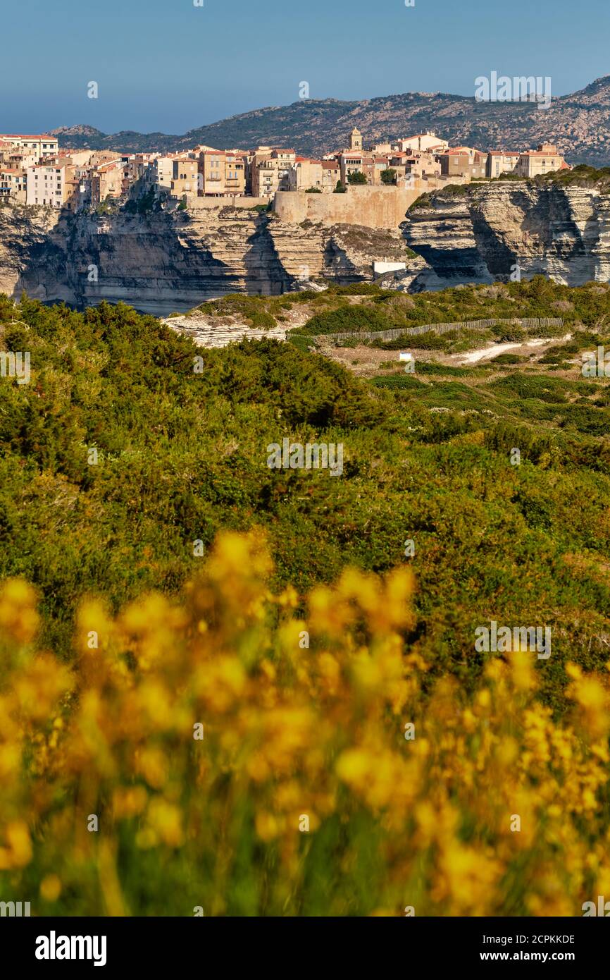 The limestone coastline and clifftop citadel town of Bonifacio on the southern tip of the French island of Corsica - Corse du Sud France Stock Photo