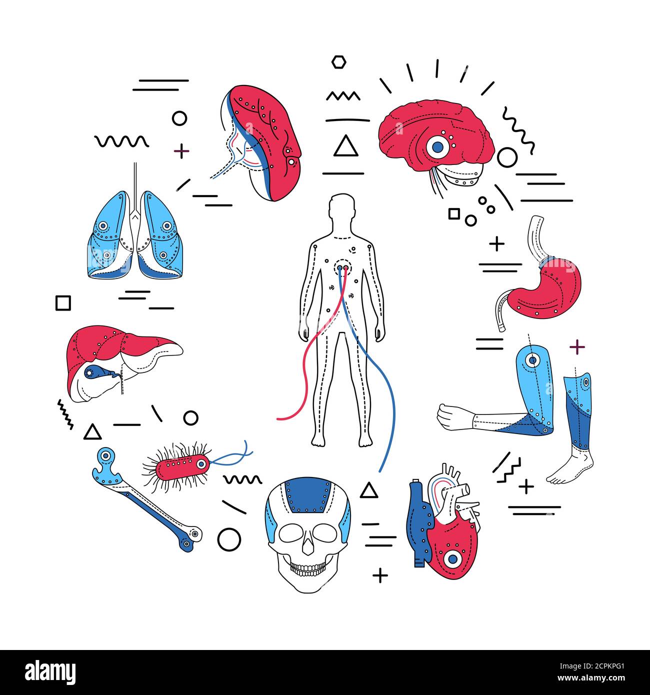 Artificial limbs web banner. Prosthetic implants of different organs