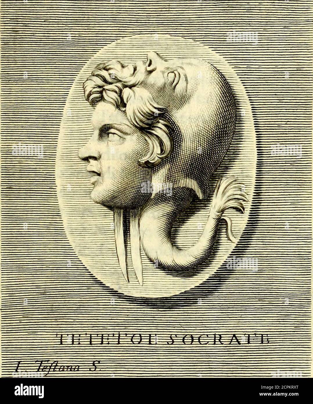 . Iconografia, cioè disegni d'imagini de famosissimi monarchi, regi, filosofi, poeti ed oratori dell'antichità, cauati . O Te- ■ ■ ,S -.■.■ • . . j -, . ... ■ ■■ ■ ■. - - ■ - -. , : uamt ■ :. I ■ , V • ■ - •... t . Tetcto, c Socrate. 7* Stock Photo