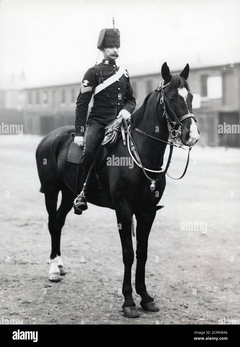 Mounted Cavalry officer. Sergeant in 10th Royal Hussars (Prince of Wales's Own). Taken from an original photograph for the London photographers Larkin Brothers Stock Photo