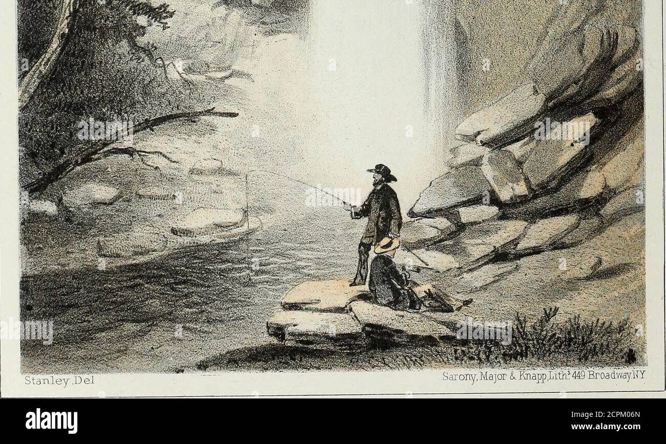 Cor coster hires stock photography and images Alamy