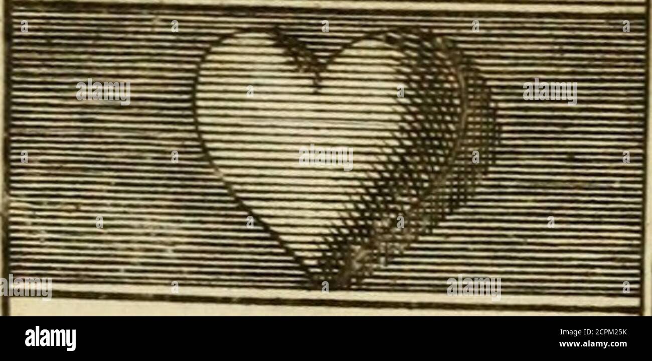 Glasvol, liefje | broeder Dieleman | Snowstar Records, image size:1300x719