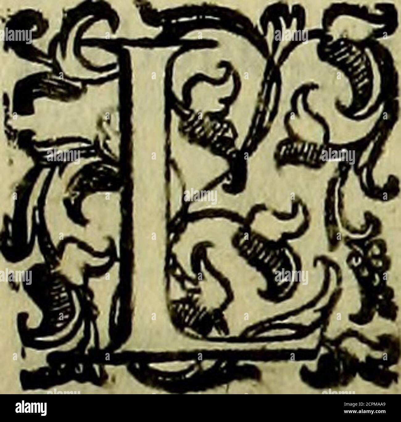 il laccio vicenza instagram