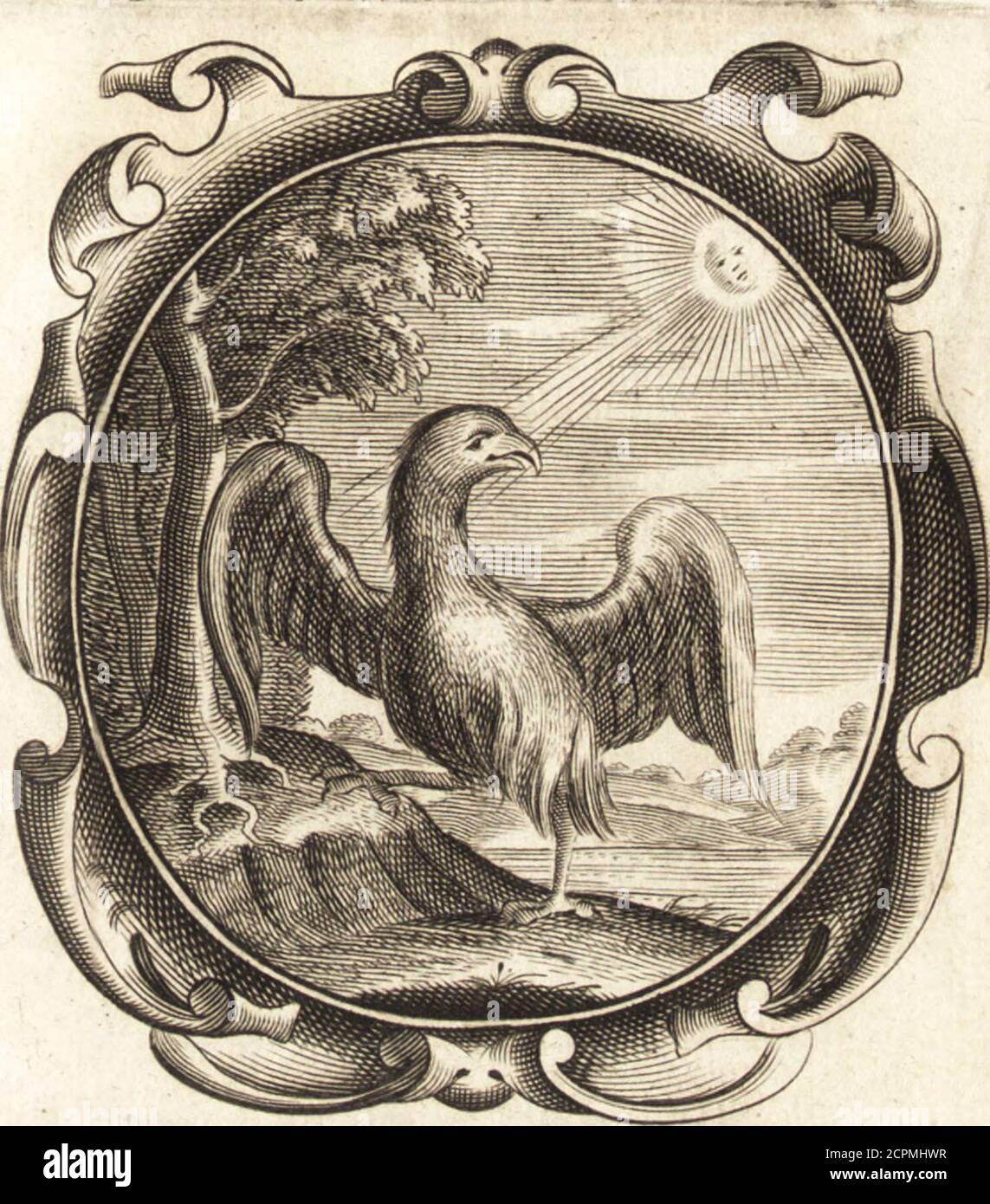 . Lucis euangelicae sub velum sacrorum emblematum reconditae, pars tertia : hoc est, caeleste pantheon, sive caelum novum in festa et gesta sanctorum totius anni, selectâ historiâ, & morali doctrinâ . , f> ait: Prtus dtjrumpatur htc filcx tn mann meaquam foror mea , mundo fpretoManialisfiat. Atque eccum lapis in manu ejus confraclus eftquod m illa forte prsefens confpcxit,mtindo ac nuptiis fpretisin clauftro fanc~hmonialium,Religionis habitum aflumpfu, ublapis ilk, cseleftis prodigii tcftisetiamnum aflervatur.Atque ha:(Sponfa Chrifti, proculcatis majcentibus ac fcetcntibus nuptiarum corp Stock Photo