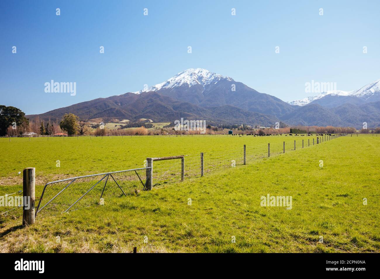Landscape Around Staveley in New Zealand Stock Photo