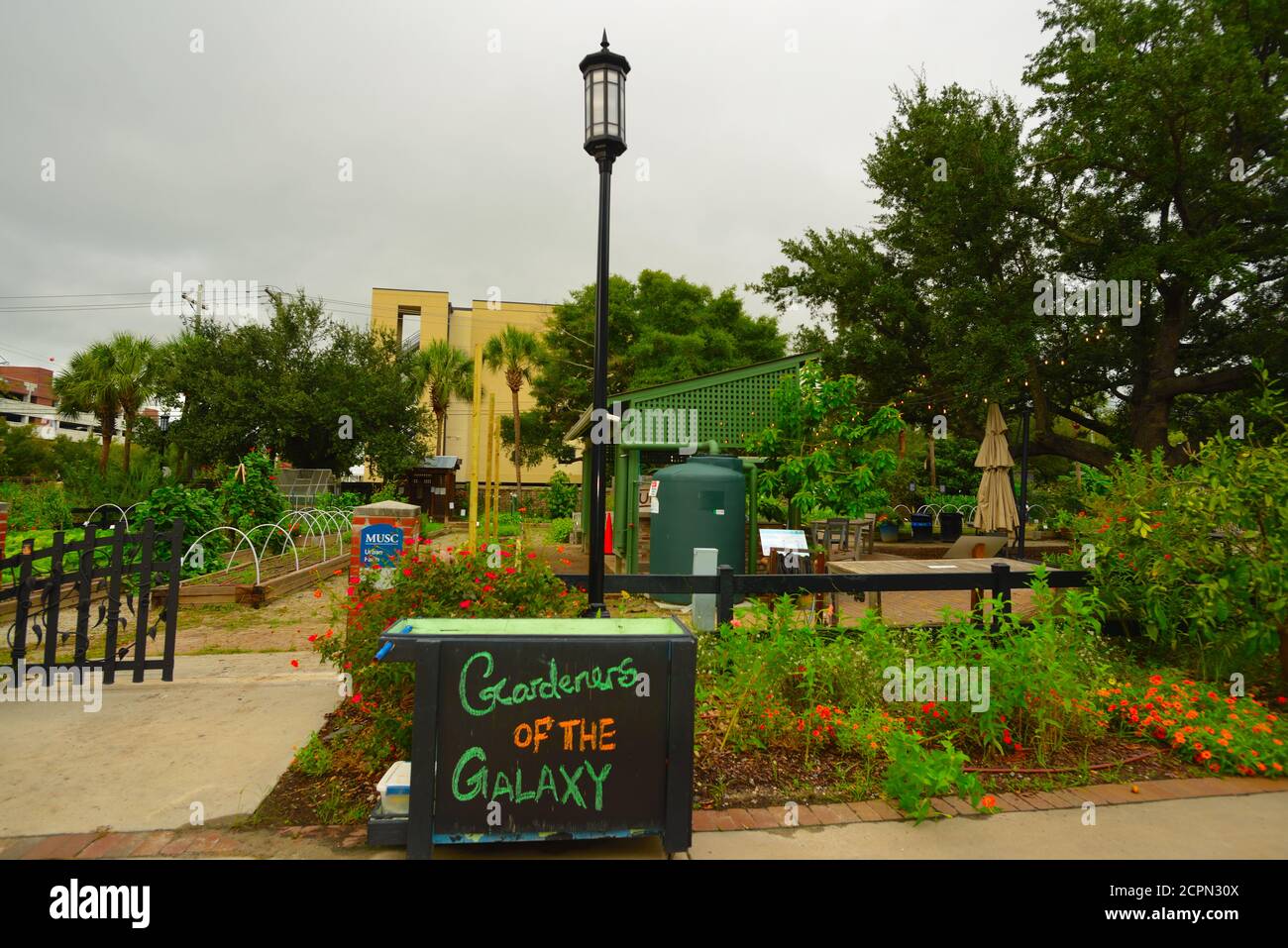 Ever Changing Urban Garden with Good Weather, New Growth, New Attractive Displays and Growths, including Decorated Cabinet with Amish Style Flowers. Stock Photo