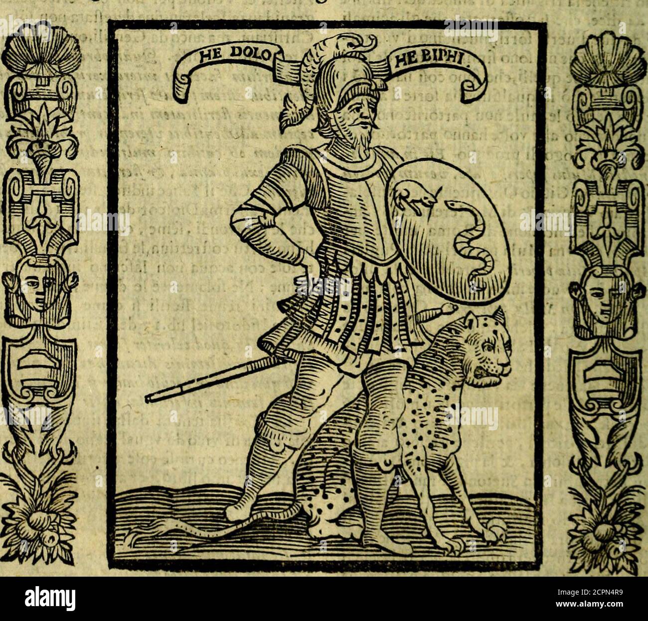 . Nova iconologia . bene il vino, nel quale fia Stratagemma Militare,del Sig ftata io frescata la Triglia, diuenta impotenteal li piaceri venerei, & fc lo bene vna Donna »come Aerile non concepirà , ilchc confermaAtheteo con lAuttorità di Terpficle nel li-bro del le eofe Veneree . Vinum, in quo fuffo-ccttui Mulluifuerit j fi vir bibat ad Venertmimpotens erittfì Mulier non concipiet,vt refertTerpjtclet libro de Venerei*. S T O L T I T I A. DONNA ignudale ridente, e gettata perterra in atto fconcio,in modo però,chenon fi mofrrino lepartidUhoneftc,con vna pcCora vicino, perche iJ pazzo palefai fu Stock Photo