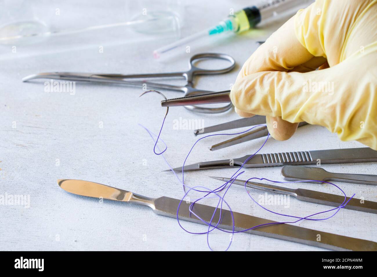 Dissection Kit - Stainless Steel Tools for Medical Students of Anatomy ...