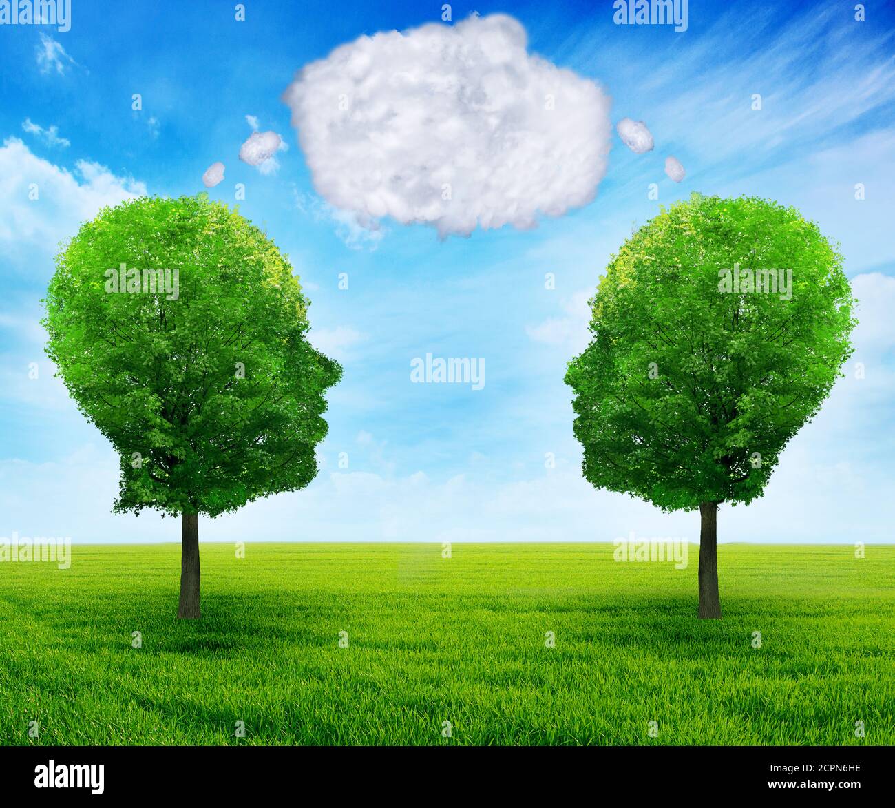 Growing network communication with group of two trees shaped as human head with blank word bubble made of clouds business concept of team growth sendi Stock Photo