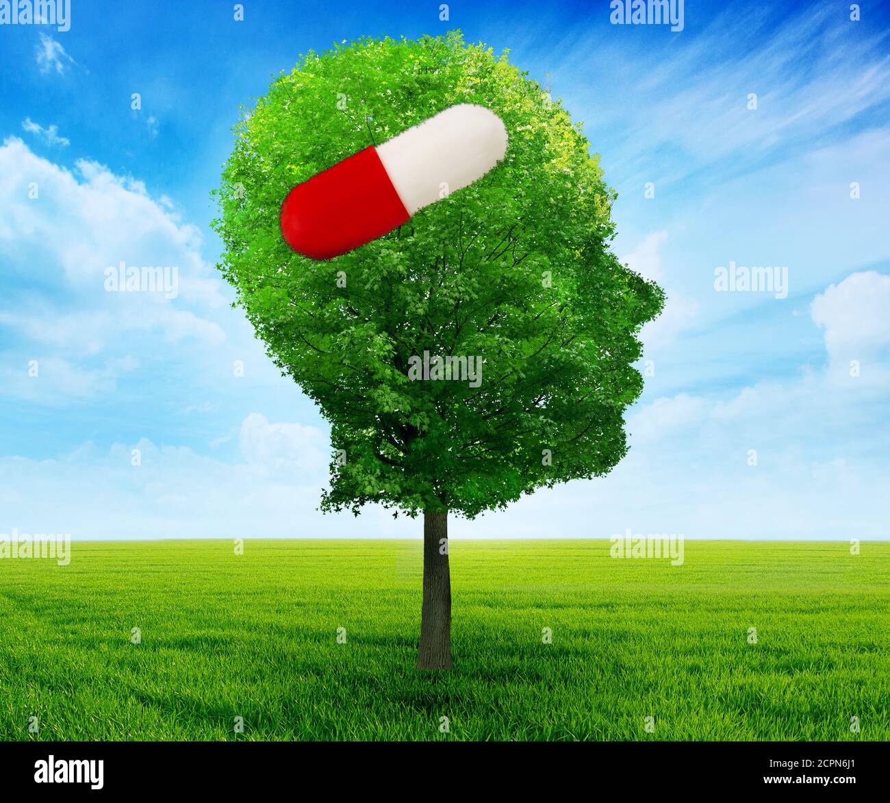 Tree in a shape of side profile human head with pill. Treatment remedy of neurological psychological problems healthcare concept Stock Photo