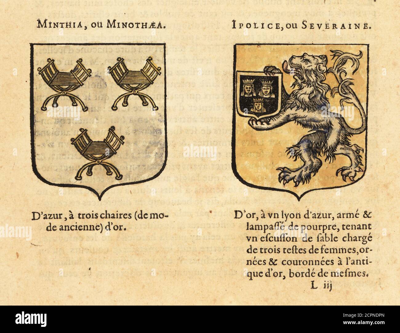 Imaginary coats of arms of Scythian queen Minothaea, with three gold chairs, and Amazon Queen Antiope’s sister, Hippolyte, with blue lion rampant and three crowned queens. Nine Worthy Women. MINTHIA ou MINOTHAEA,  IPOLICE ou SEVERAINE. Handcoloured woodblock engraving from Hierosme de Bara’s Le Blason des Armoiries, Chez Rolet Boutonne, Paris, 1628 Stock Photo