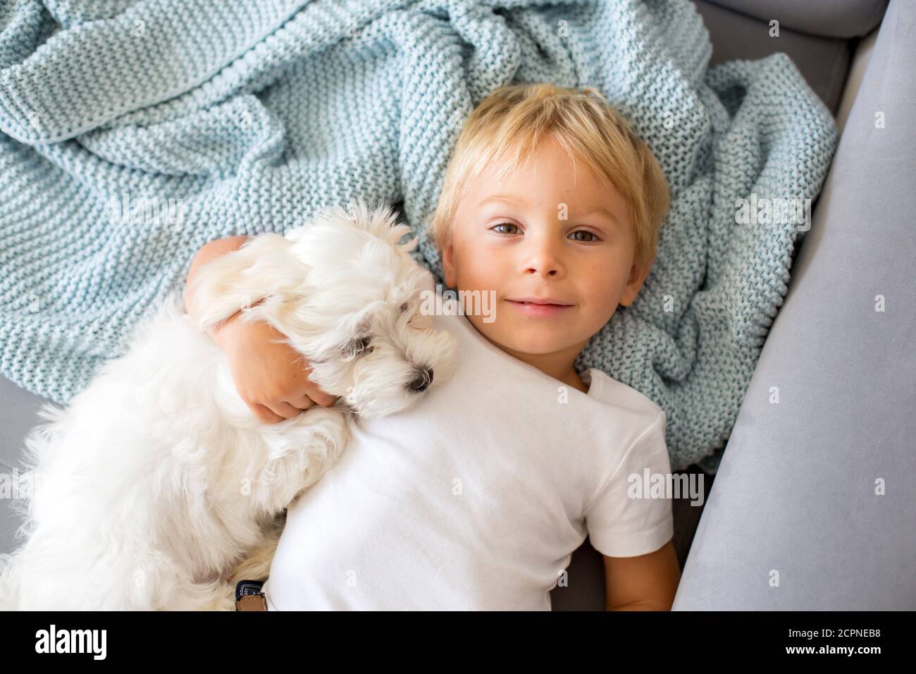 Little toddler child, boy, lying in bed with pet dog, little maltese