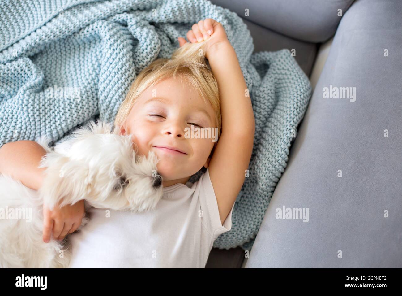 Little toddler child, boy, lying in bed with pet dog, little maltese puppy dog Stock Photo Alamy