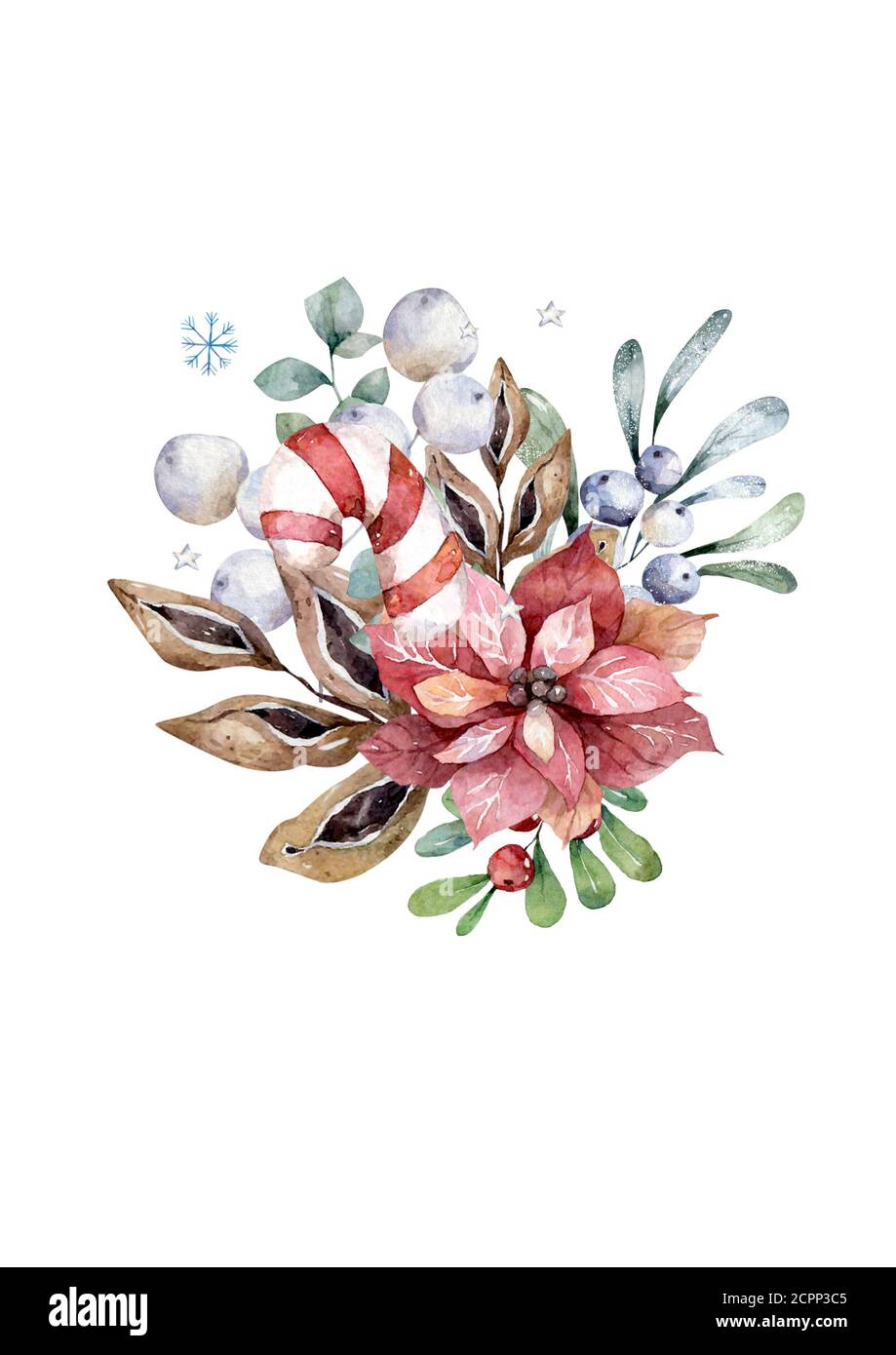 Christmas floral bouquet with poinsettia and fir branches. Hand drawn ...