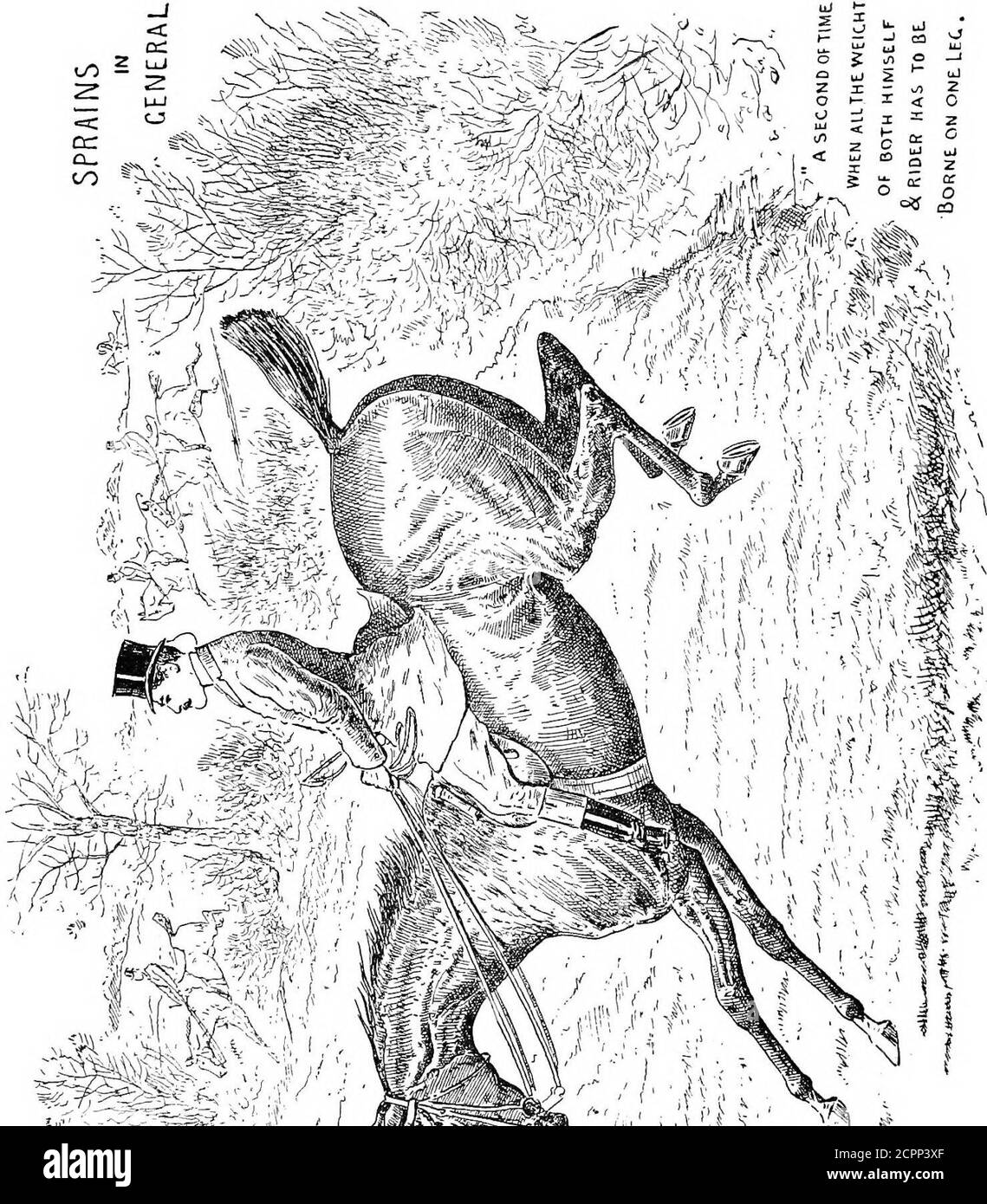 Why Does My Dogs Legs Keep Giving Way