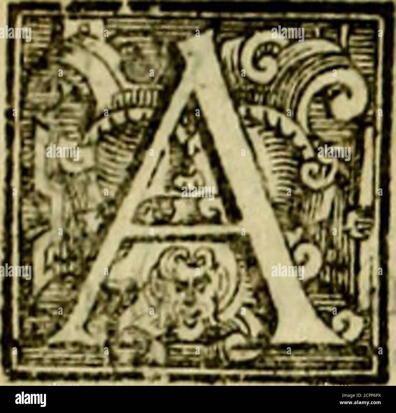Tu 114 High Resolution Stock Photography And Images Alamy