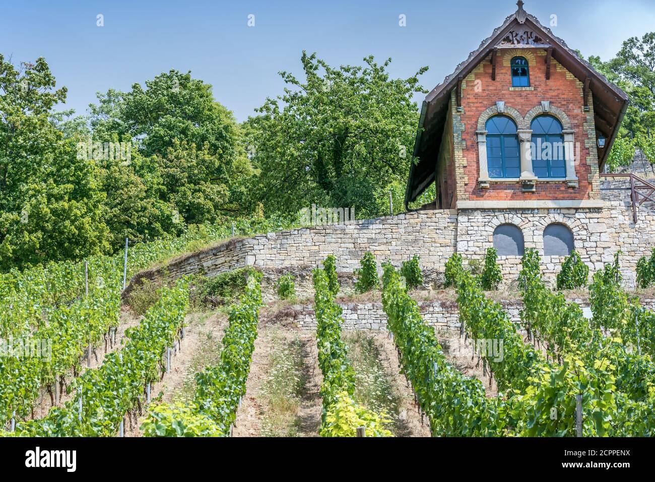 Brick house on a vineyard Stock Photo