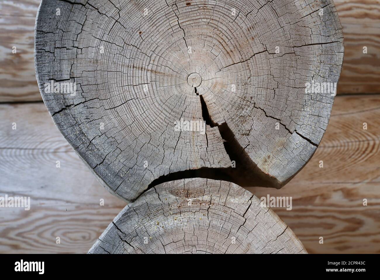 Annual rings and cracks on a tree cut Stock Photo - Alamy