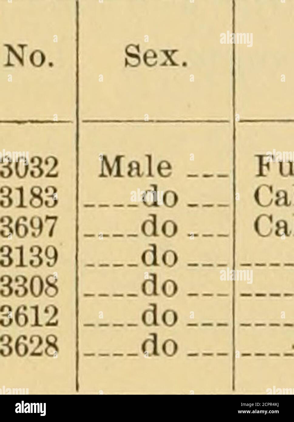 Birds of Calayan and Fuga, Babuyan group . ed with black; ear coverts  similar; chin and throat striped withblack and tawny buff. Bill dusky  greenish; irides crimson; legs andfeet steel blue;