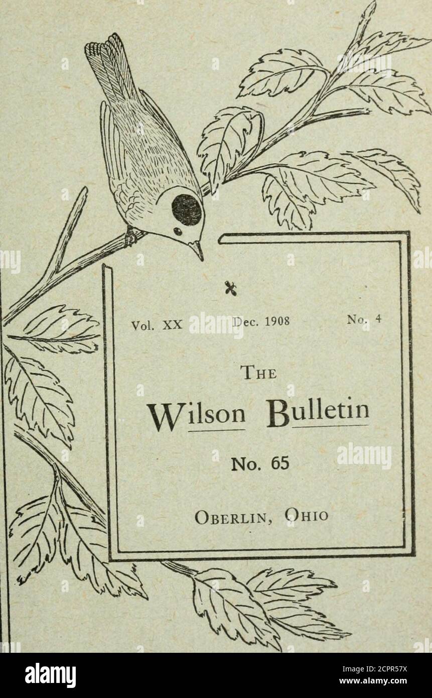 . The Wilson bulletin . arch, June, September and December, bythe Wilson Ornithological Club at Oberlin, Ohio, edited by LyndsJones. Subscription: One Dollar a year, including postage, strictly in ad-vance. Single numbers, 30 cents, unless they are Special numbers,when a special price is fixed. The Bulletin, including all Specialnumbers, is free to all paid up members, either Active, Associate, orHonorary, after their election. Subscriptions may be addressed to the editor, or to Mr. Frank L.Burns, Berwyn, Pa. Advertisements should be addressed to The Wilson Bulletin,Oberlin, Ohio. Terms will b Stock Photo