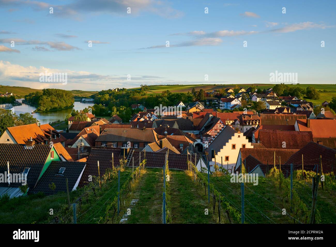 Landscape and vineyards near Wipfeld, Schweinfurt district, Lower Franconia, Franconia, Bavaria, Germany Stock Photo