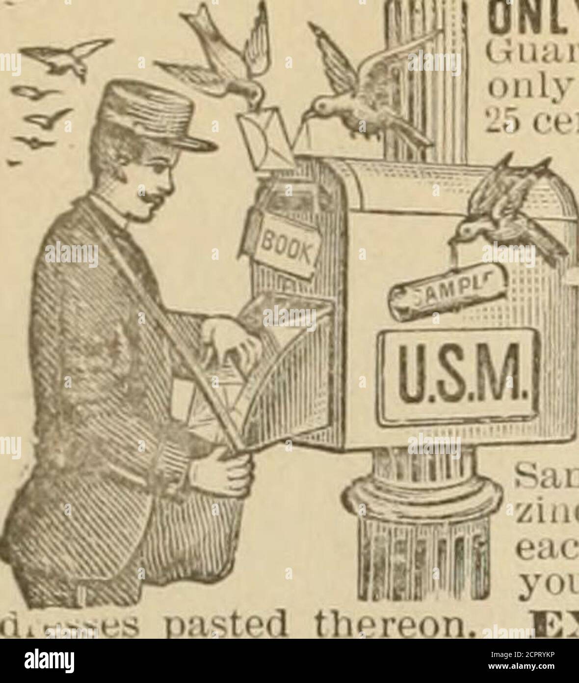 Page 211 P I L High Resolution Stock Photography And Images Alamy