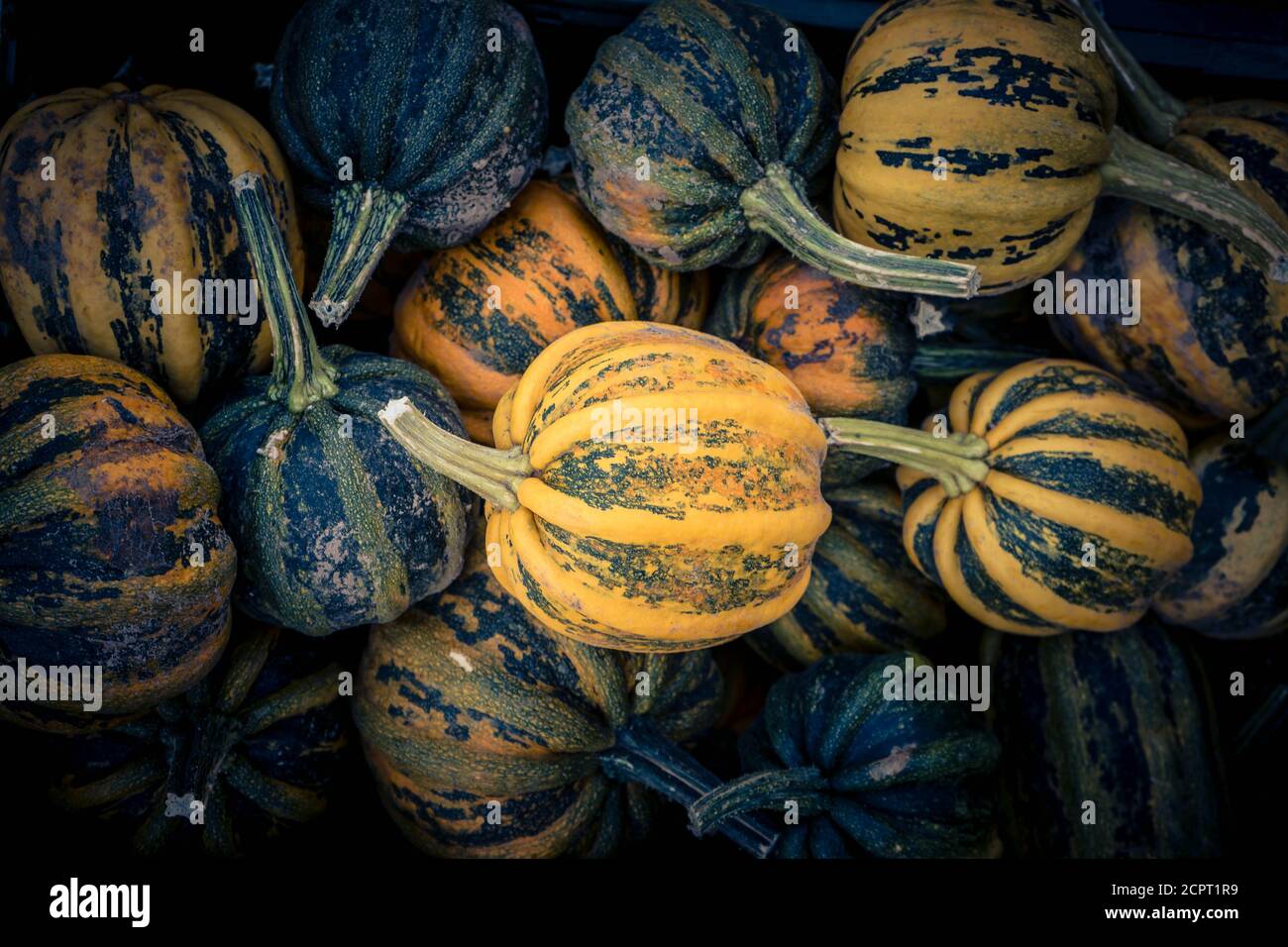 Pumpkins on a Farmers Market Stock Photo - Alamy