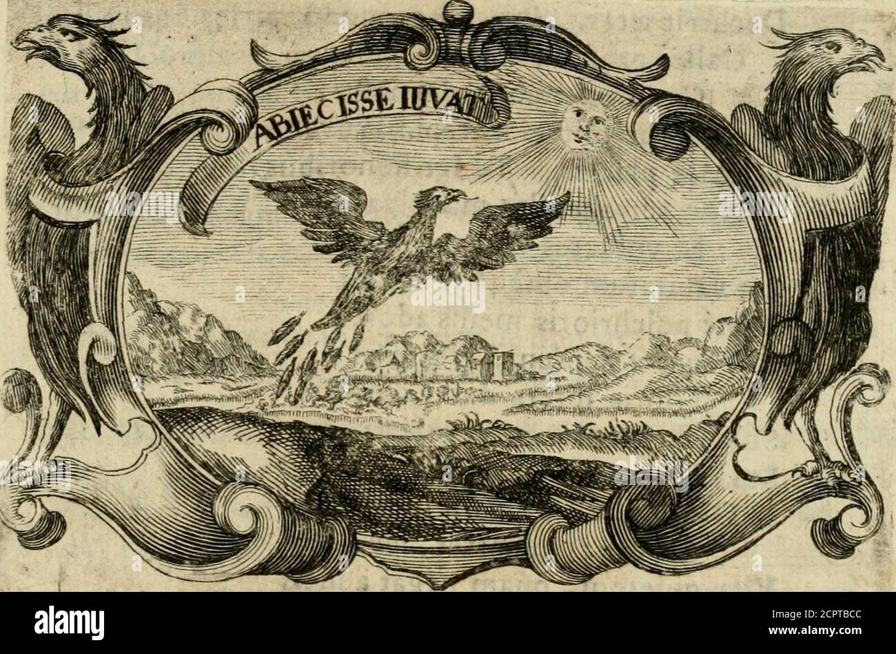 Page 4 Nani L High Resolution Stock Photography And Images Alamy