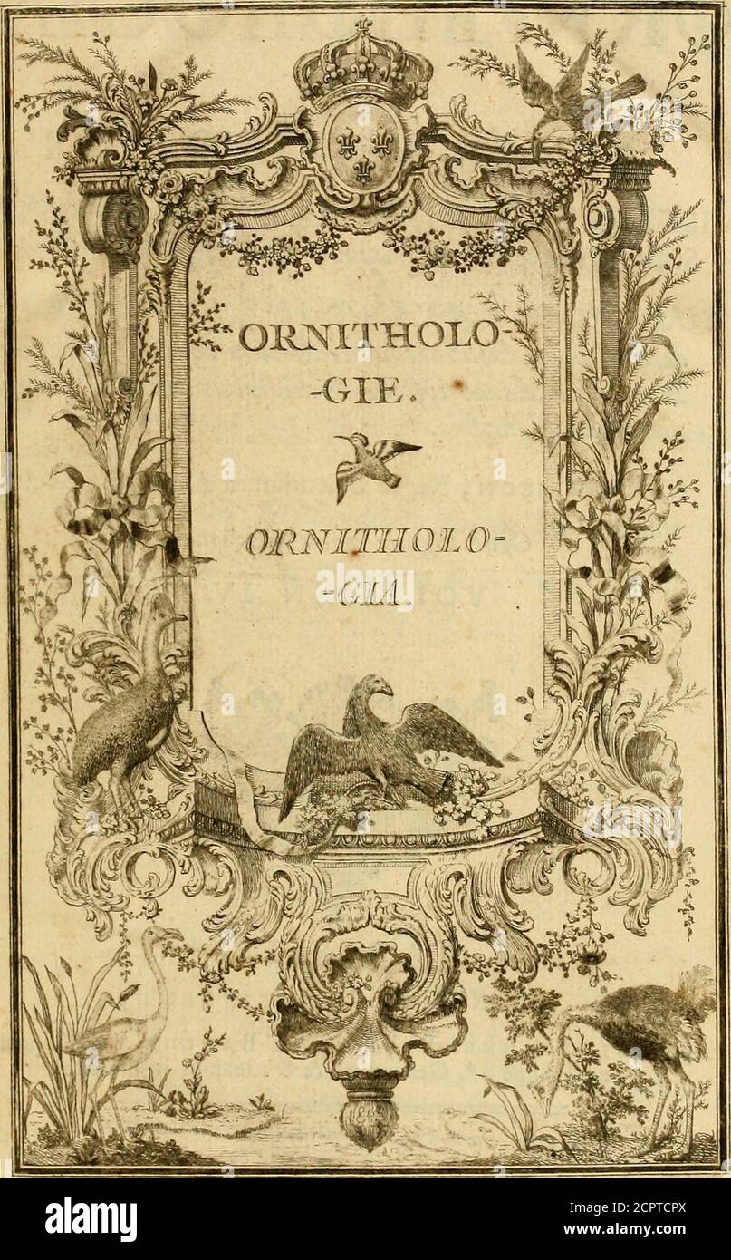 Page 4 Foi U High Resolution Stock Photography And Images Alamy