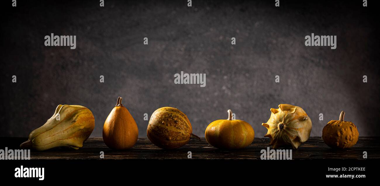 Gourds in different curious and funny shapes and sizes. Stock Photo