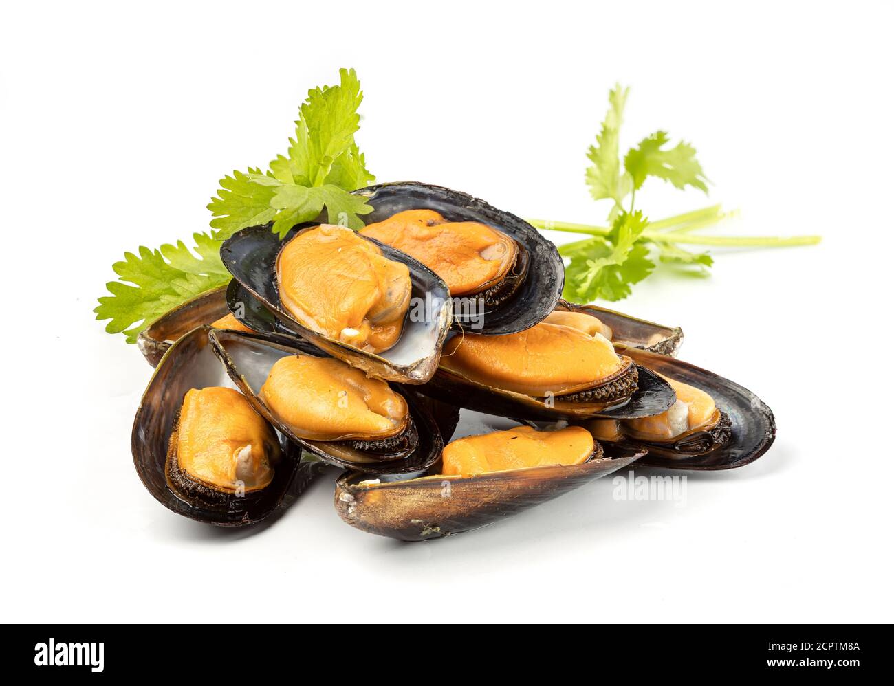 A pile of delicious cooked mussels isolated on white. Stock Photo
