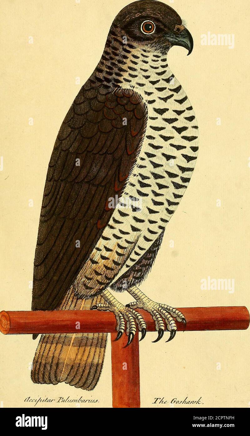Tiij Fa ccc hi-res stock photography and images - Alamy