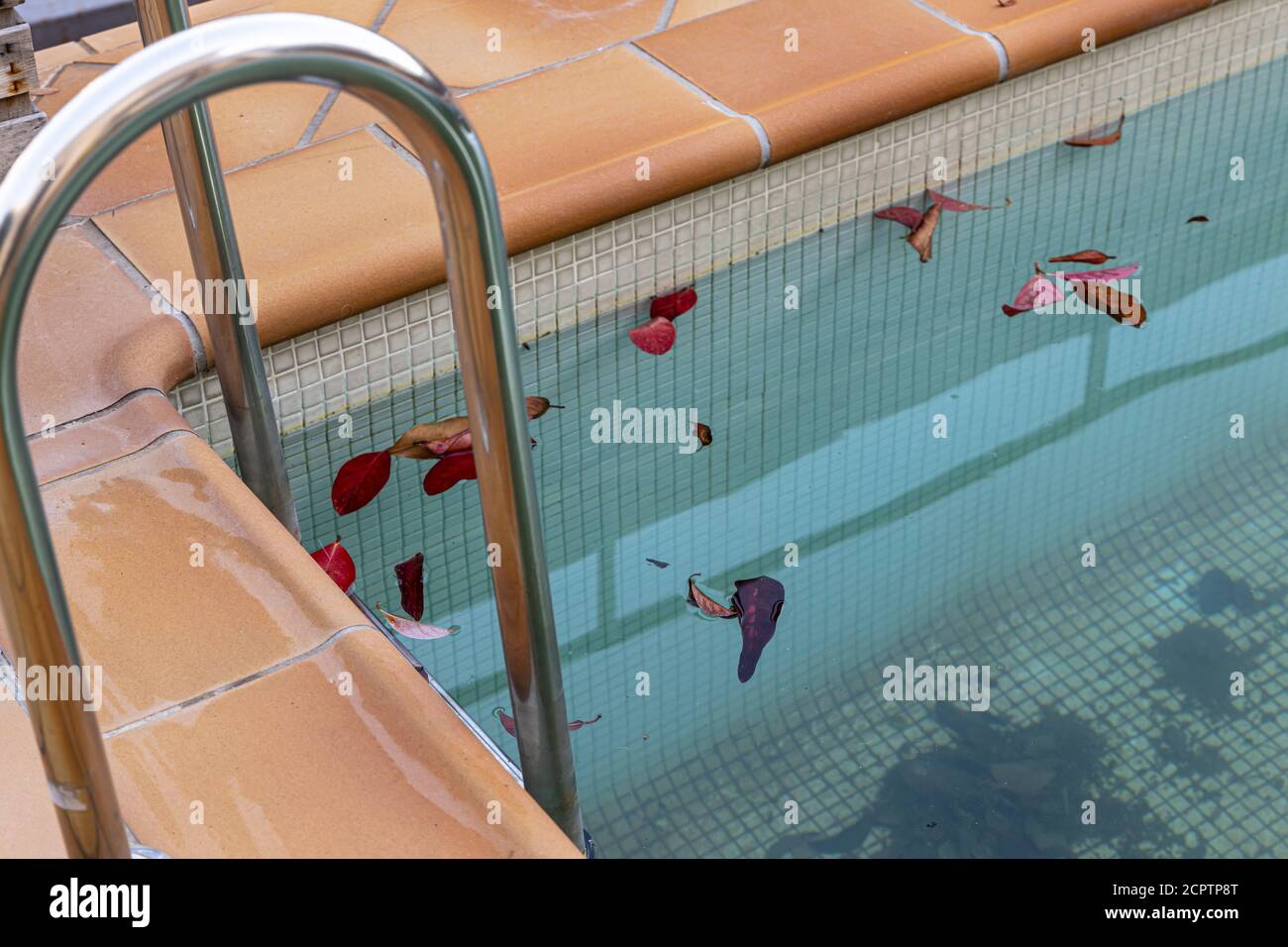 Abandoned dirty outdoor swimming pool in winter with algae and autumn leaves. Stock Photo