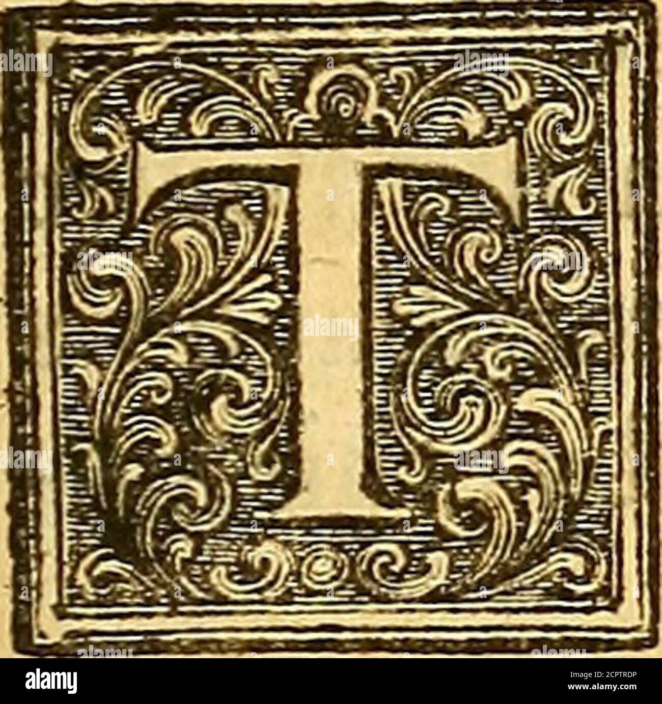 . A natural history of birds : illustrated with a hundred and one copper plates, curiously engraven from the life . SIR, H E Succefs my former Volume met withfrom the Credit you gave it by your largeContributions and Patronage, would vindi-cate my Addrefs to You in This, eitherfrom a Motive of Gratitude to You, or ofInterefl: to itfelf But this Volume hath no room to com-memorate Your Favours to its elder Brother, whilfl: itftands indebted to You in fo great a Sum. YourInquiries, Sir, in Natural Hiftory have been of greatAdvantage to my Defigns in painting and defcribing theSubjedt of them; an Stock Photo