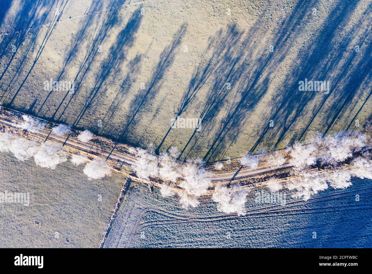 Dirt road through birch avenue with hoarfrost, Schwaigwall, near Geretsried, drone image, Upper Bavaria, Bavaria, Germany Stock Photo